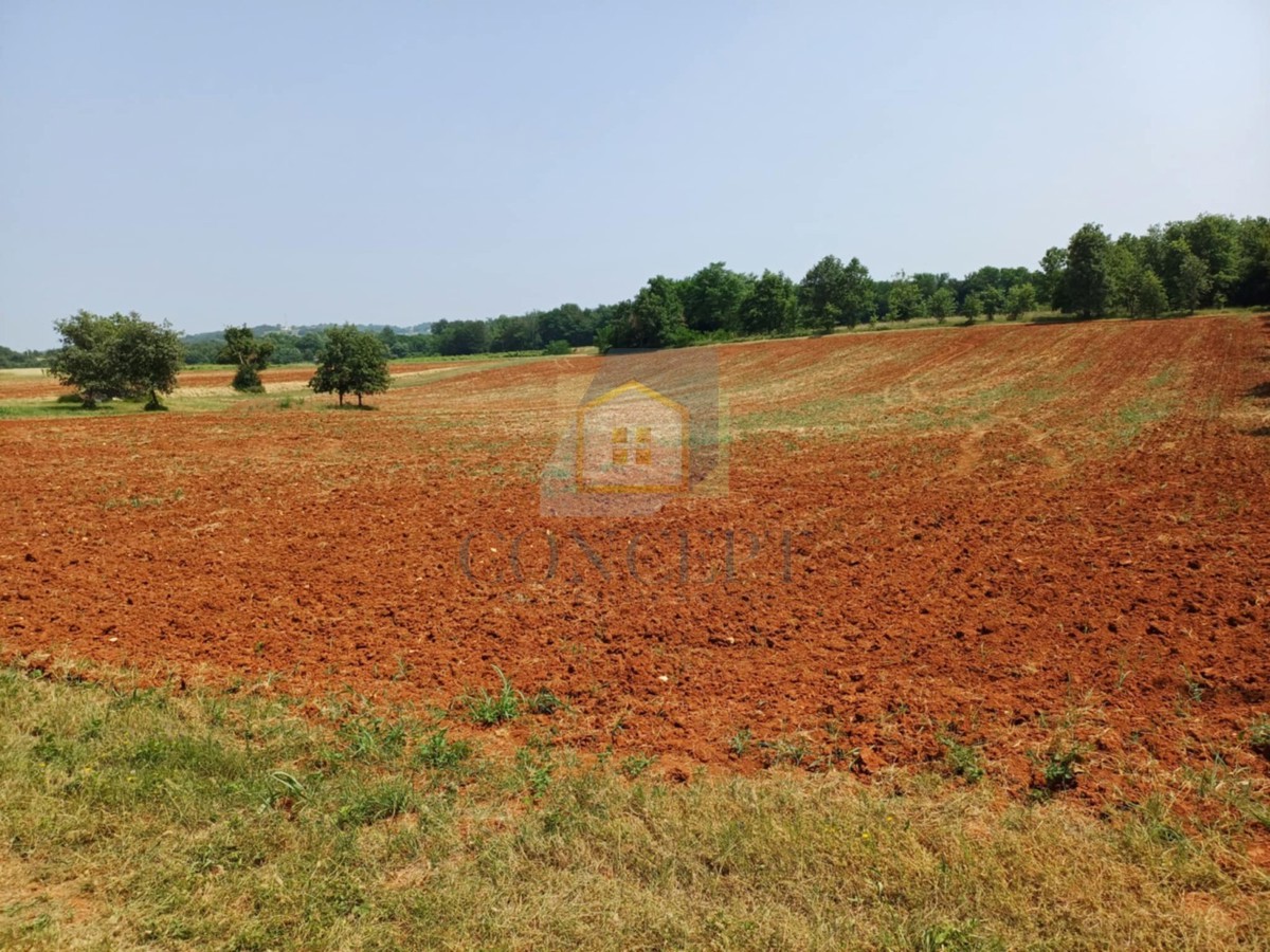 Terrain À vendre - Istarska Poreč - foto 5/5