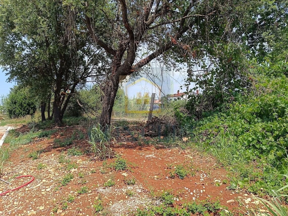 Grundstück Zu verkaufen - Istarska Poreč - foto 2/5
