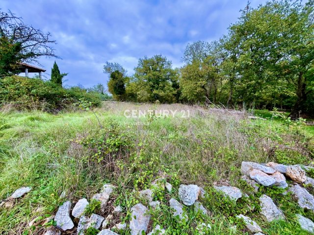 Parcela Naprodaj - Istarska Sveti Lovreč - foto 4/6
