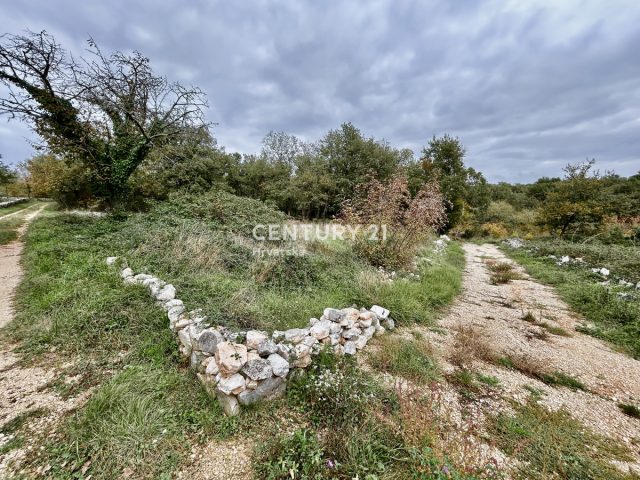Parcela Naprodaj - Istarska Sveti Lovreč - foto 5/6