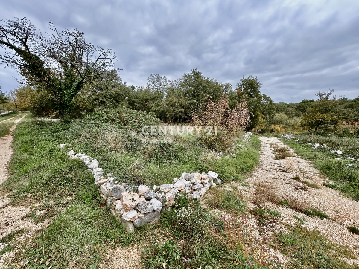 Zemljište Na prodaju - ISTARSKA SVETI LOVREČ