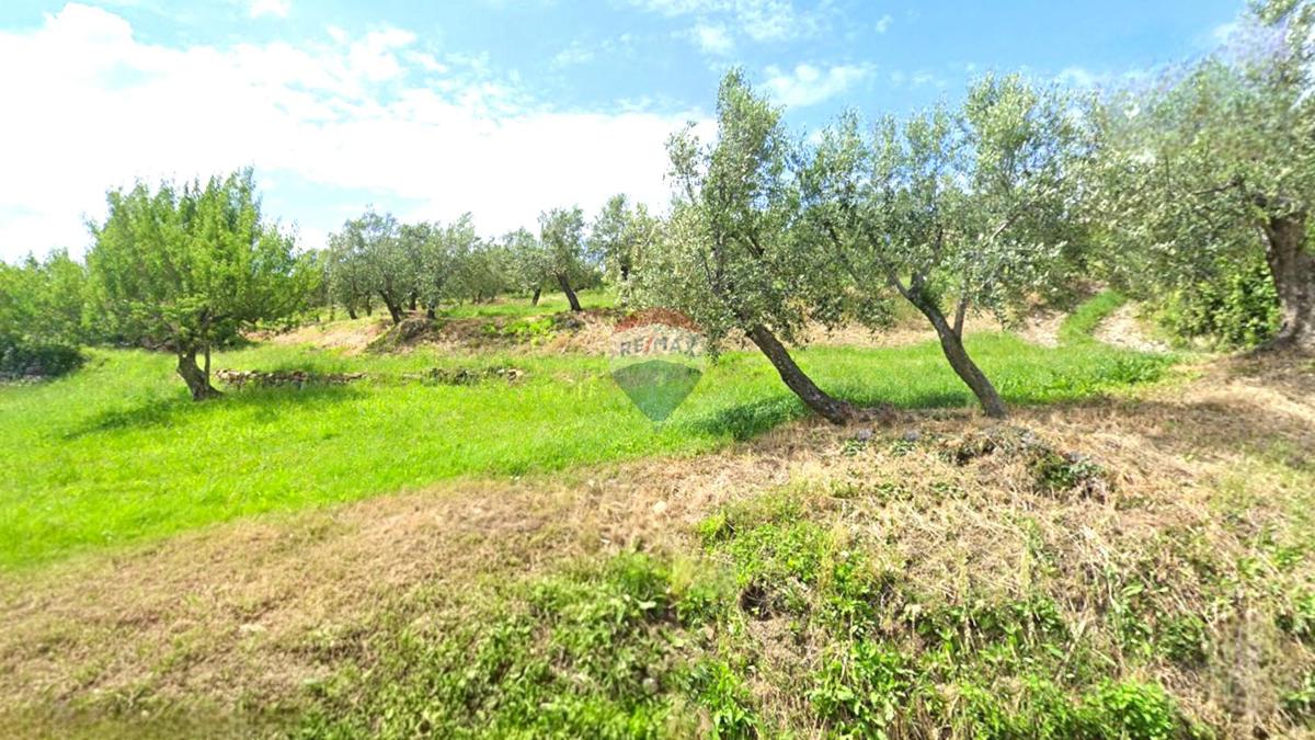 Terrain À vendre - ISTARSKA BUJE