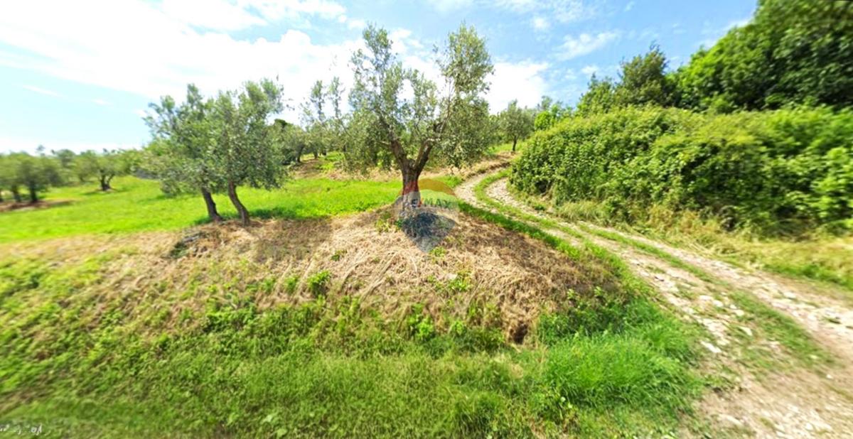 Terrain À vendre - ISTARSKA BUJE