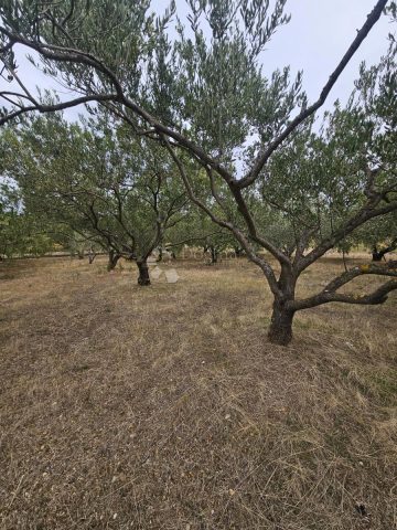Parcela na predaj 1000 m² – Kaštela