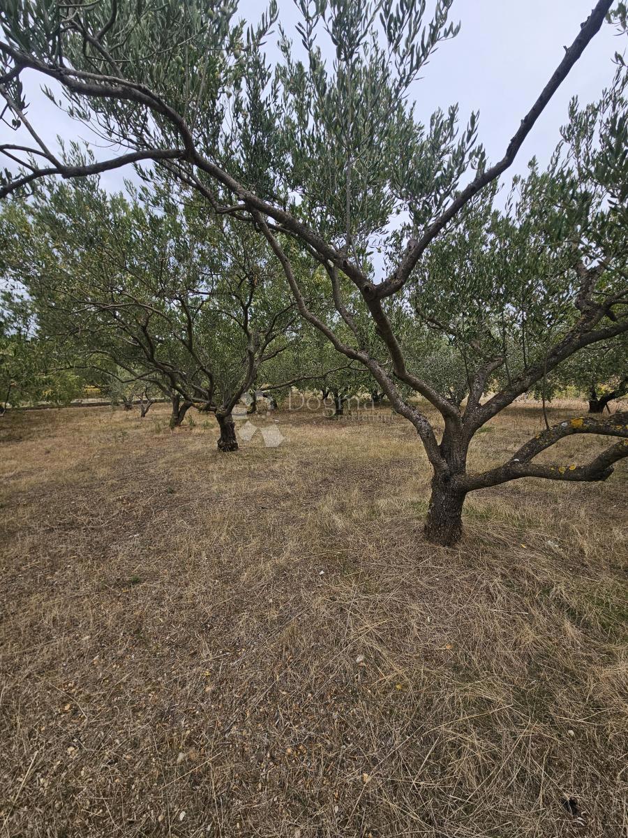 Działka Na sprzedaż - Splitsko-dalmatinska Kaštela - foto 1/2