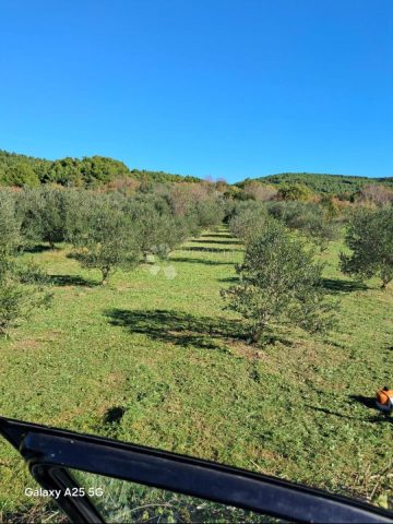 Land For sale - šibensko-kninska Tribunj - foto 2/4