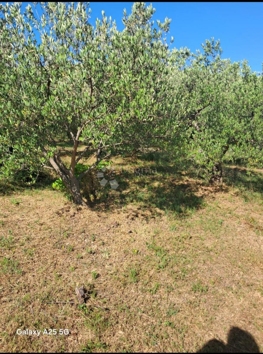 Terrain À vendre TRIBUNJ