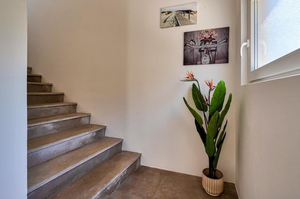 Casa In vendita - ISTARSKA LIŽNJAN