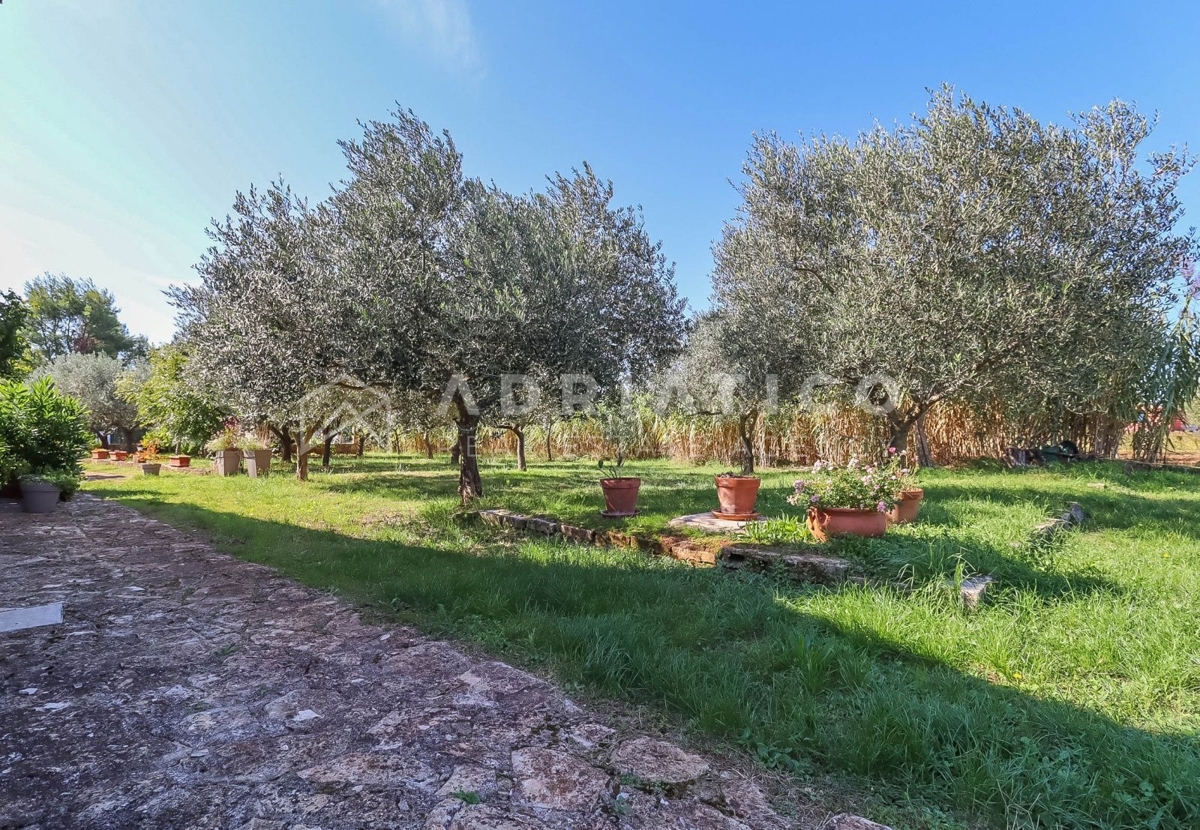 House For sale - ISTARSKA ROVINJ