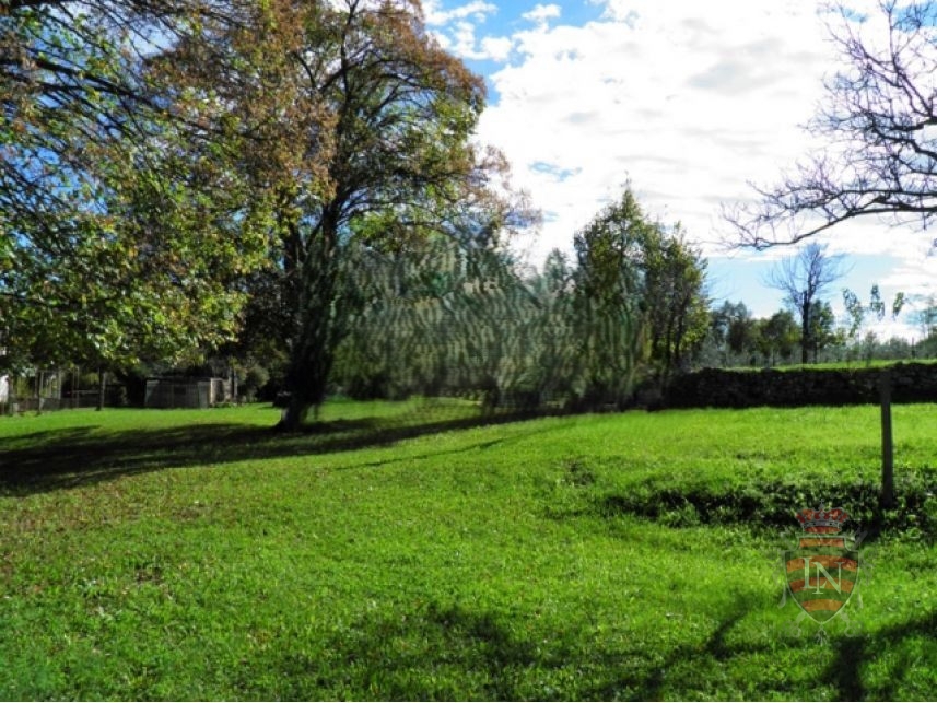 Dom Na sprzedaż - Istarska Sveta Nedelja - foto 3/8