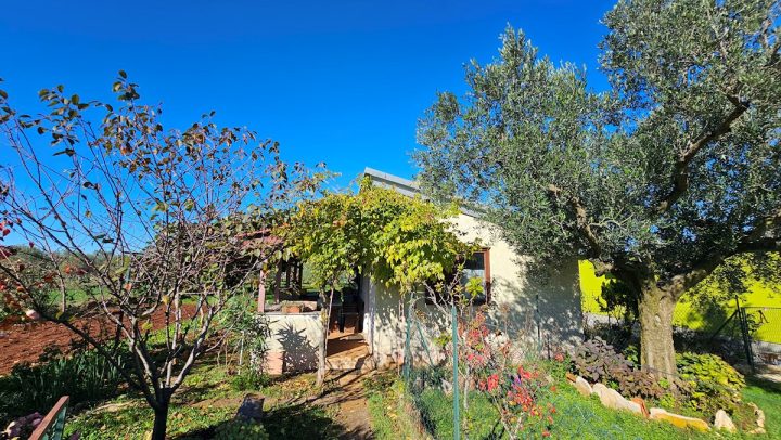House for sale 43 m² – Novigrad