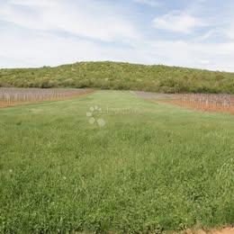 Parcela na predaj 8440 m² – Sveti Lovreč