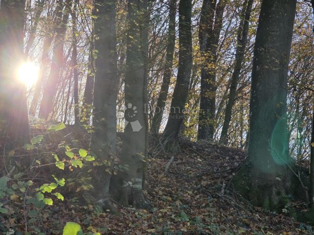 Terrain à vendre 7182 m² – Krapinske Toplice