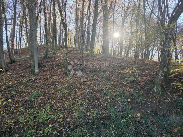 Grundstück Zu verkaufen - Krapinsko-zagorska Krapinske Toplice - foto 5/9