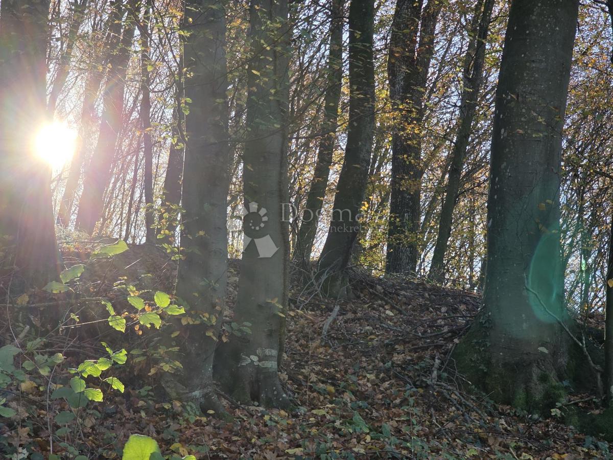 Zemljište Na prodaju - KRAPINSKO-ZAGORSKA KRAPINSKE TOPLICE