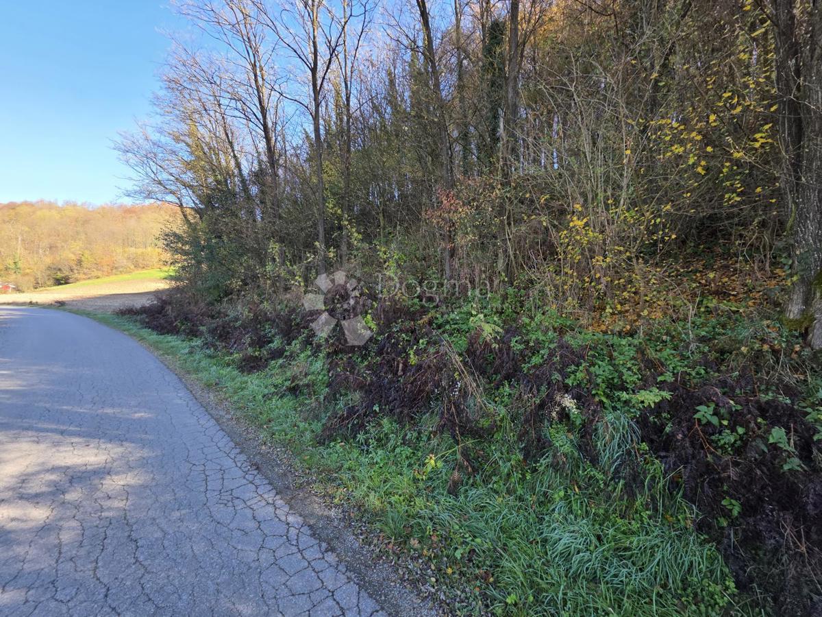 Zemljište Na prodaju - KRAPINSKO-ZAGORSKA KRAPINSKE TOPLICE