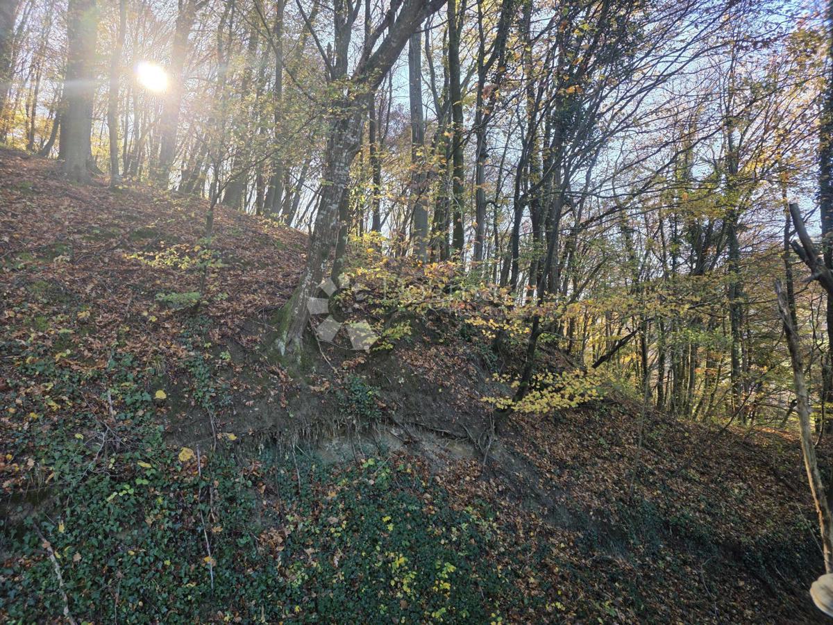 Zemljište Na prodaju - KRAPINSKO-ZAGORSKA KRAPINSKE TOPLICE