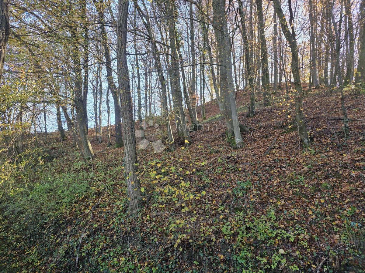 Zemljište Na prodaju - KRAPINSKO-ZAGORSKA KRAPINSKE TOPLICE