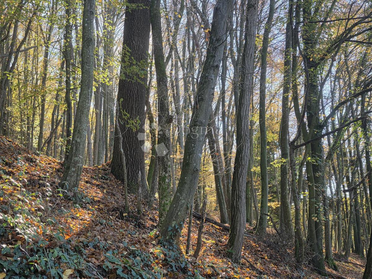 Zemljište Na prodaju - KRAPINSKO-ZAGORSKA KRAPINSKE TOPLICE