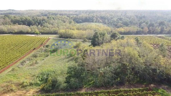 Terreno in vendita 8200 m² – Vižinada
