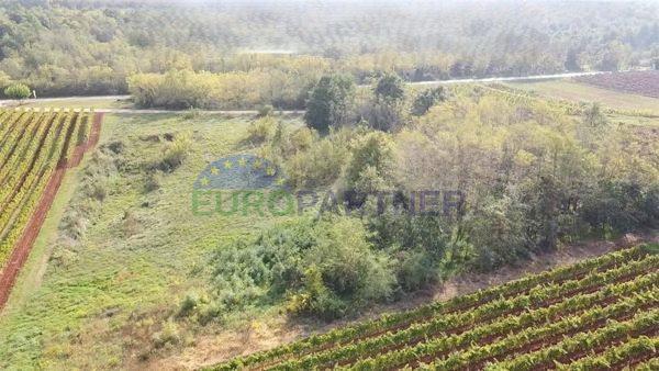 Land For sale - ISTARSKA VIŽINADA