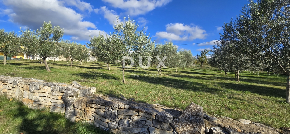 Pozemek Na prodej - ISTARSKA POREČ