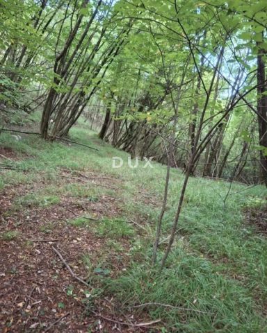Grundstück zu verkaufen 7691 m² – Viškovo