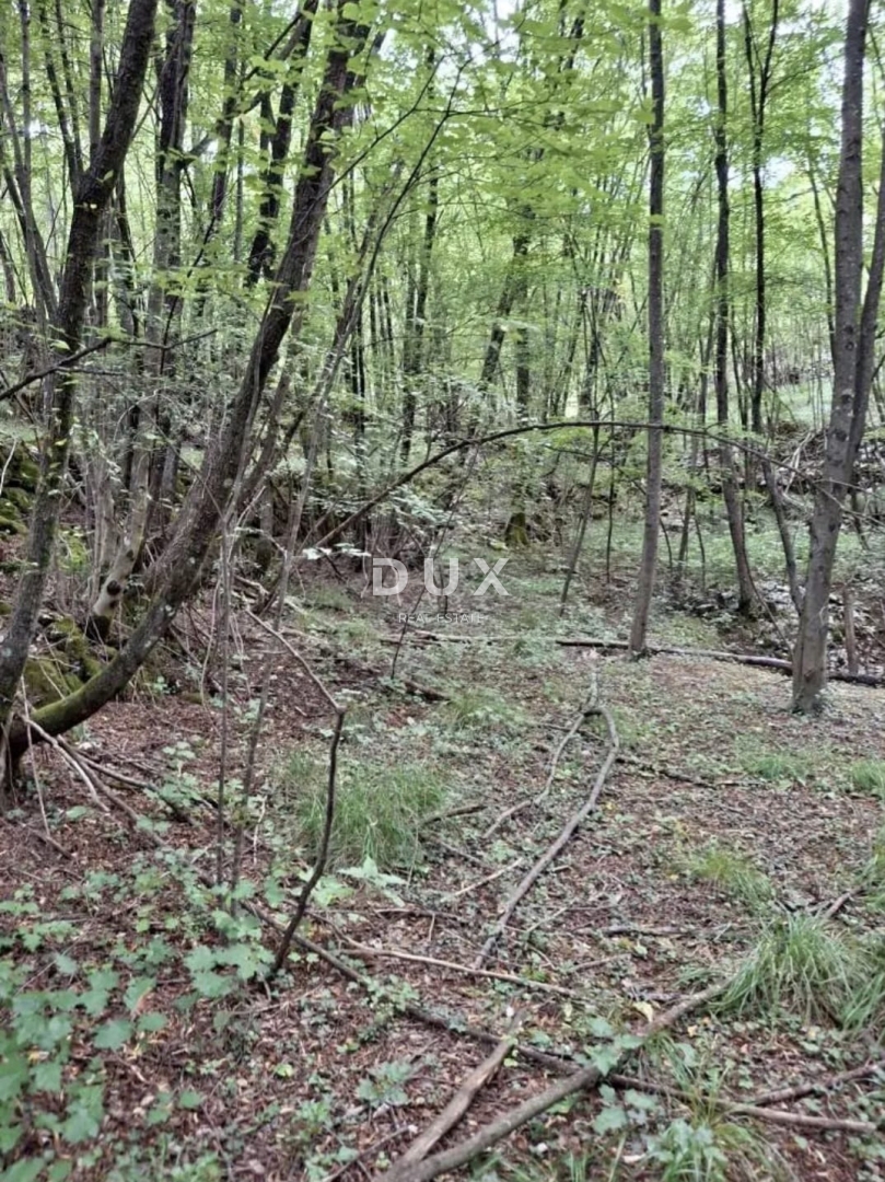 Terrain À vendre - Primorsko-goranska Viškovo - foto 2/5