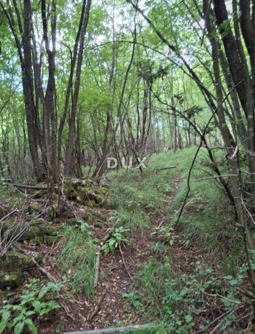Terrain À vendre - Primorsko-goranska Viškovo - foto 3/5