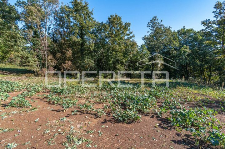 Grundstück zu verkaufen 1384 m² – Pazin