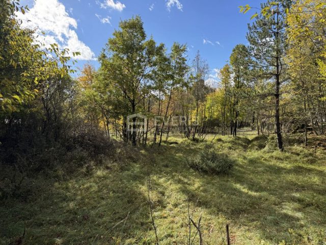 Pozemek na prodej 3549 m² – Klana