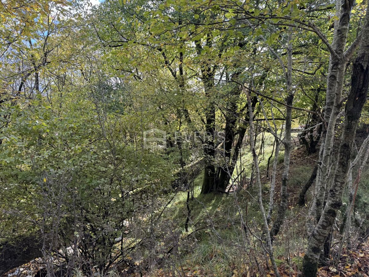 Zemljište Na prodaju - Primorsko-goranska Klana - foto 3/4