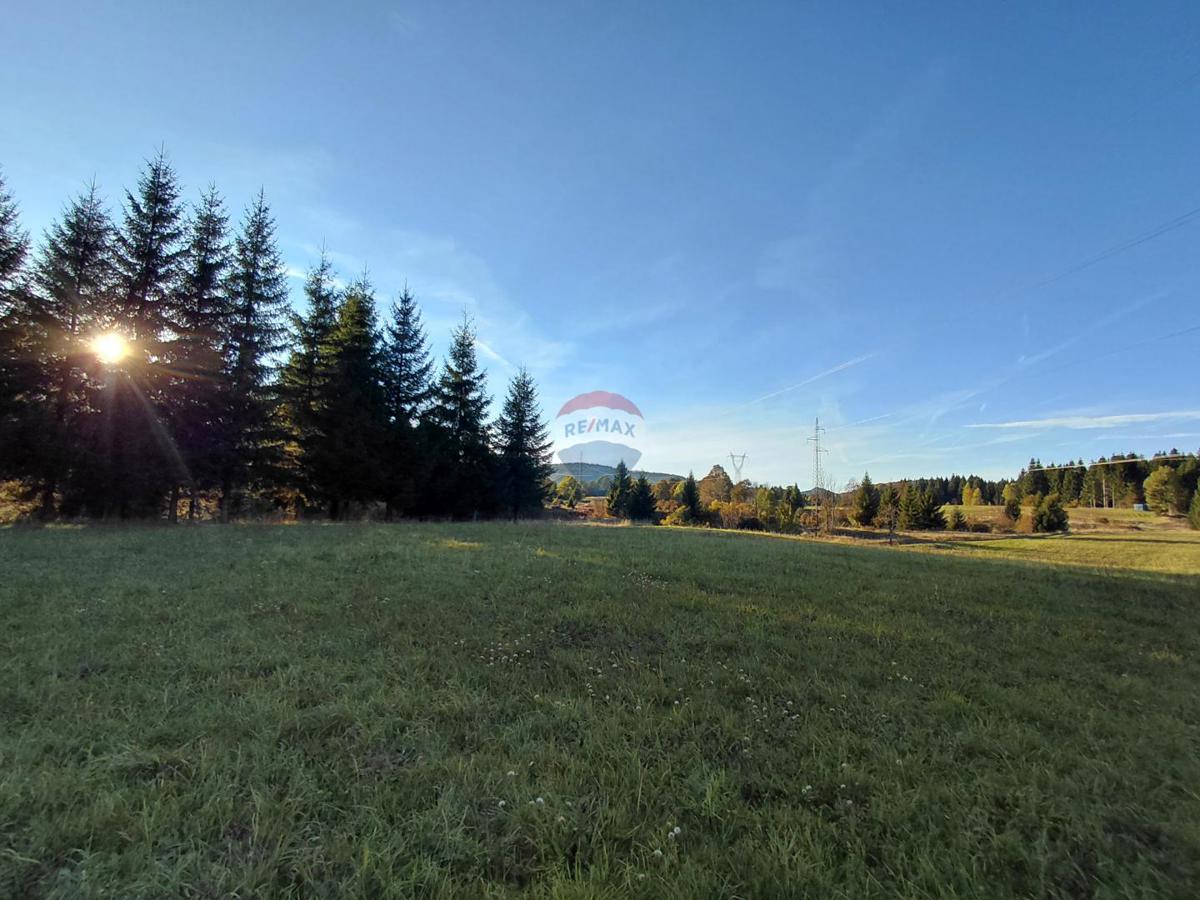 Działka Na sprzedaż - Primorsko-goranska Ravna Gora - foto 5/10