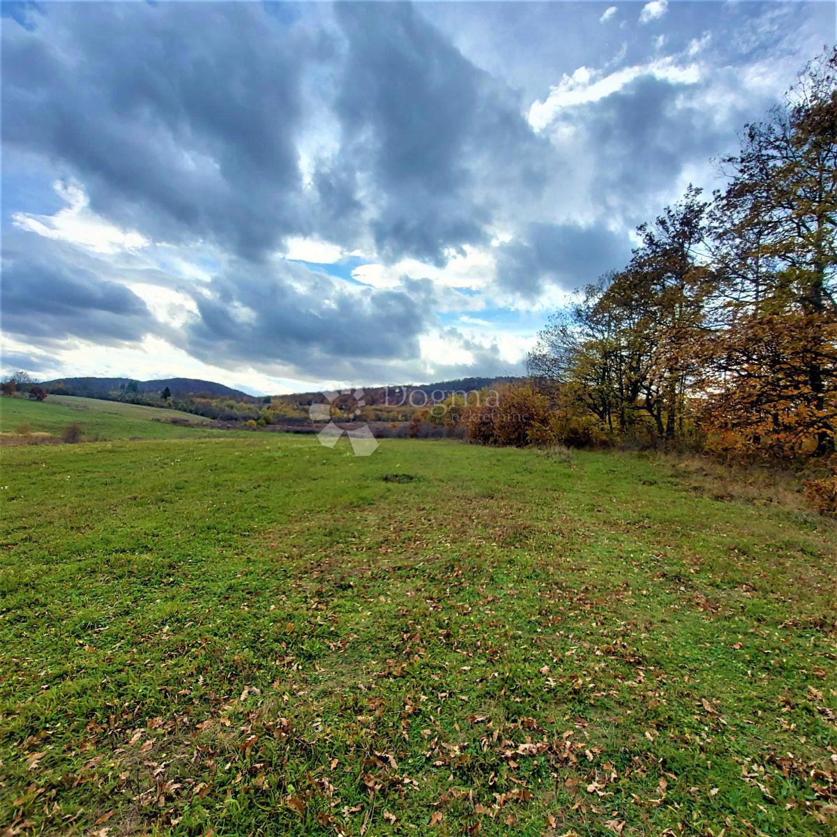 Land For sale - Ličko-senjska Donji Lapac - foto 2/3