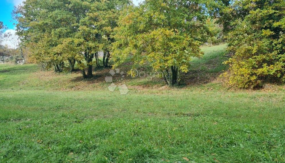 Parcela Na predaj - ISTARSKA SVETVINČENAT