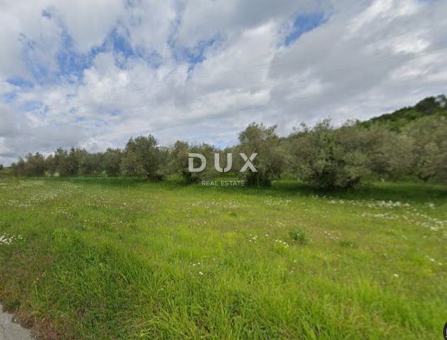 Land for sale 5065 m² – Buzet