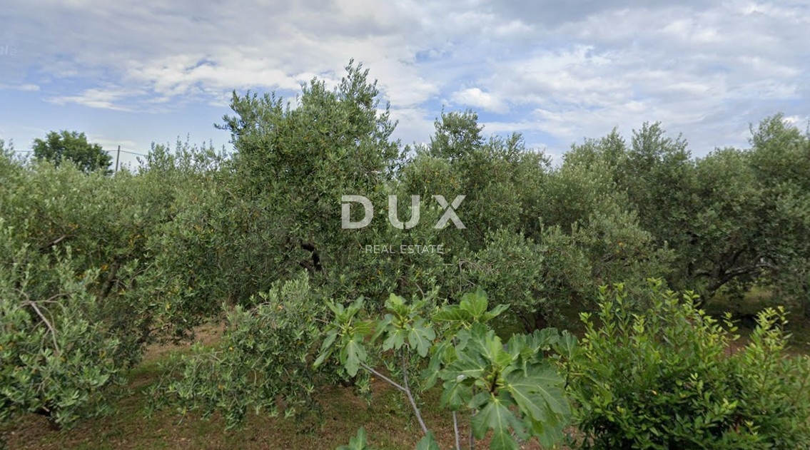 Land For sale KRK