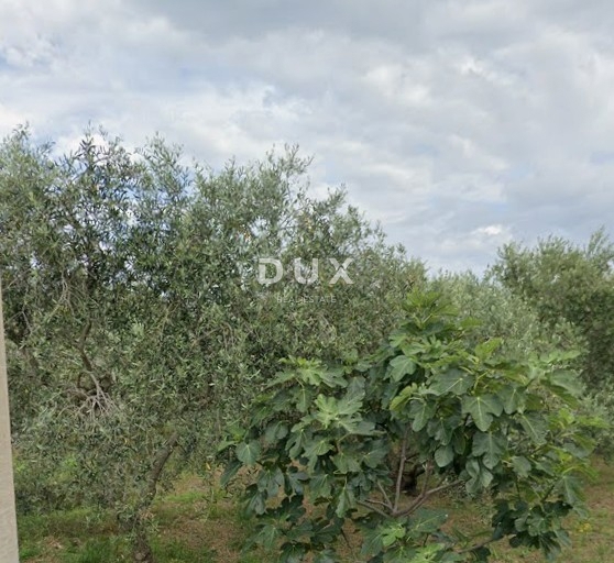 Land For sale - PRIMORSKO-GORANSKA KRK