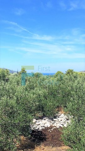 Land For sale - Splitsko-dalmatinska Hvar - foto 2/4