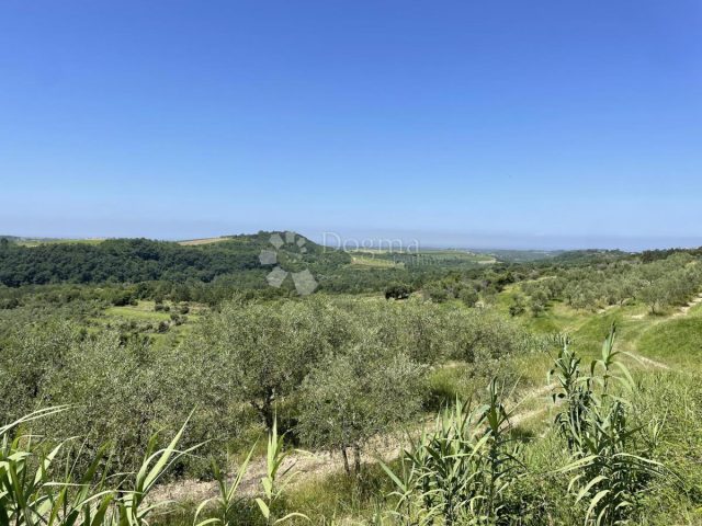 Terrain à vendre 305 m² – Buje