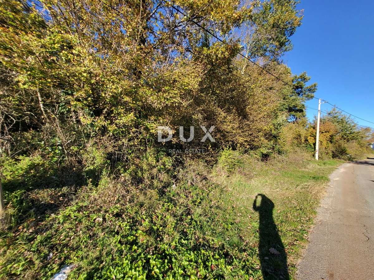 Land For sale - Istarska Barban - foto 3/4