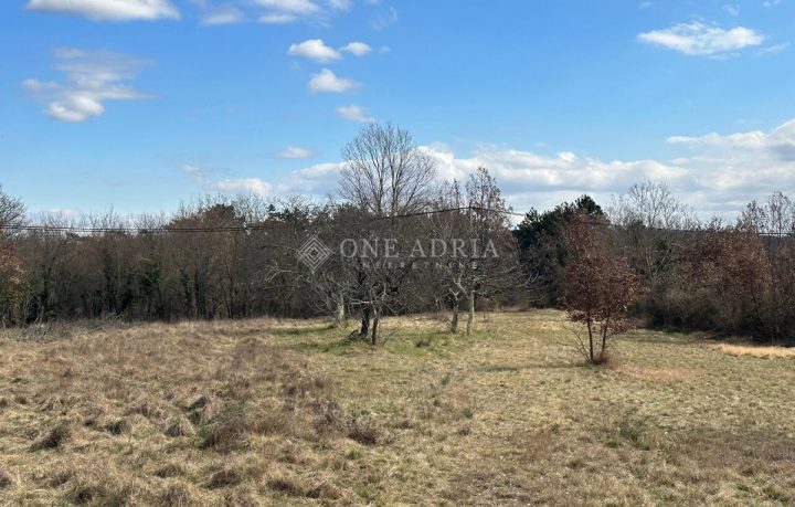 Land for sale 2989 m² – Grožnjan
