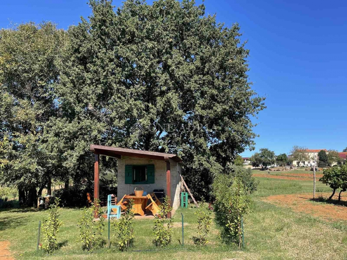 Terrain À vendre - Istarska Poreč - foto 2/4