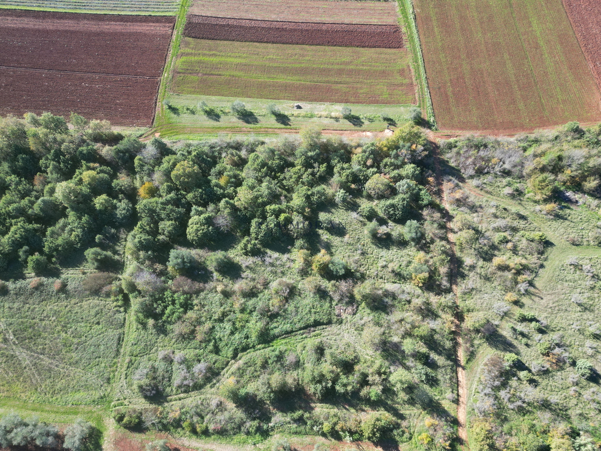 Parcela Na predaj - Istarska Umag - foto 3/4