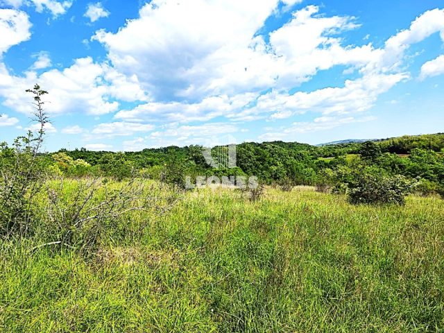 Land for sale 10878 m² – Umag
