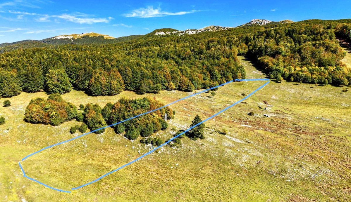 Terrain À vendre - Primorsko-goranska čavle - foto 4/5