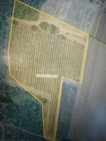 Grundstück zu verkaufen 10116 m² – Poreč