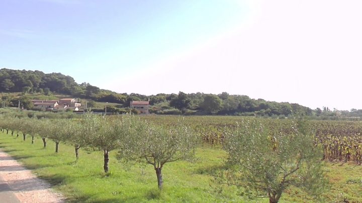 Terreno In vendita - Istarska Poreč - foto 2/4