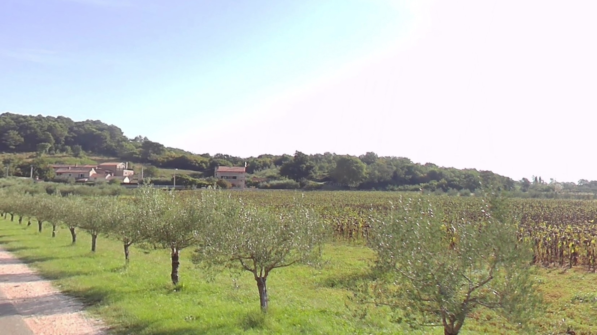 Pozemek Na prodej - Istarska Poreč - foto 2/4