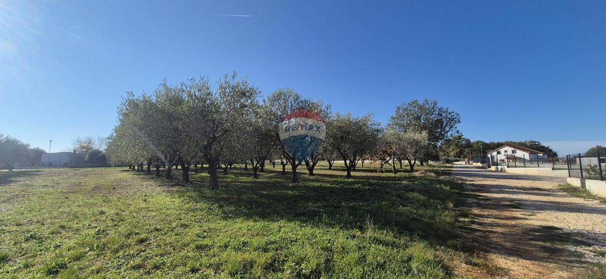 Land For sale - Istarska Poreč - foto 1/8